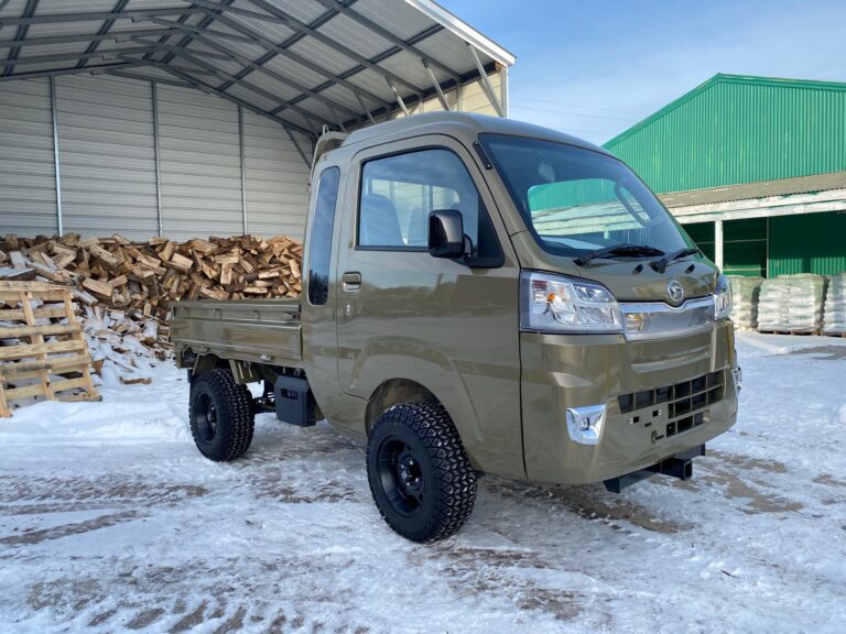 2021 Jumbo Cab Daihatsu Hi-Jet Automatic 4WD