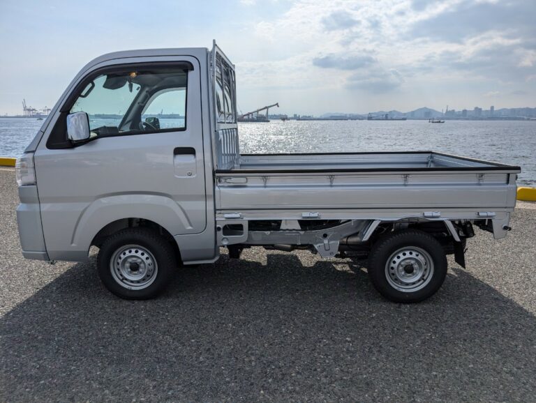 2024 DAIHATSU REG CAB AUTO 4WD